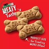 Milk-Bone Mini'S Original Dog Biscuits, 15 Ounce (Pack of 6)