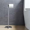 BGL Toilet Paper Holder Brushed Nickel 2 Pack Standing On