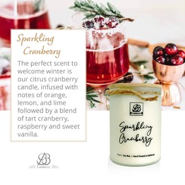 BB Candles Winter Collection Natural Soy Hand Poured Candle - Sparkling Cranberry Scented Candle with Frosted Jar & Bamboo Lid - Fragrant Winter Candle - 12oz, 90+ Hours Burn Time