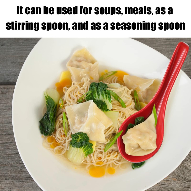 Cionyce 2PCS Wonton Soup Spoons, Chinese Japanese Miso Ramen Dumpling