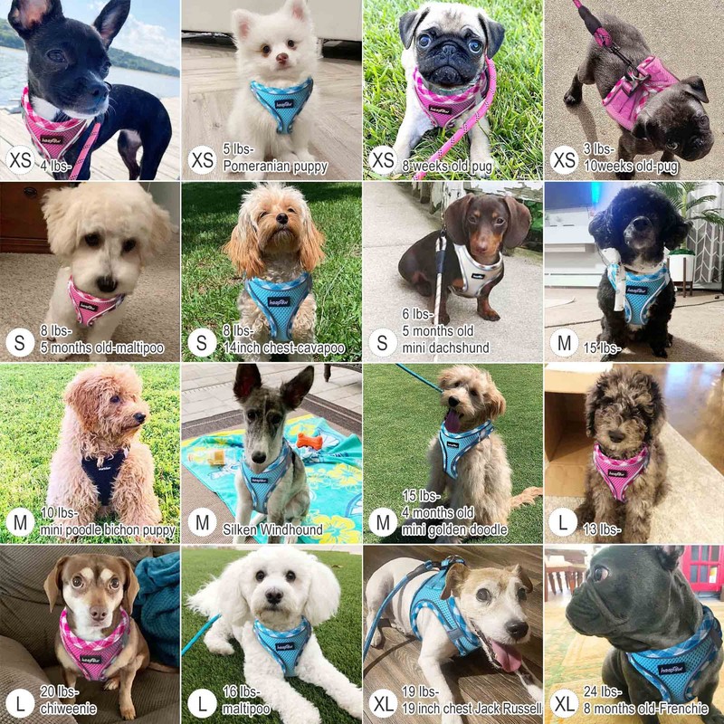 haapaw Dog Harness with Leash Set, No Pull Adjustable Reflective