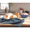 COTTON CRAFT Amazing Kitchen Towel - Set of 12 Terry