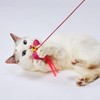 ペティオ (Petio) 猫用おもちゃ らくらくデンタルTOYじゃらし バタフライ 猫