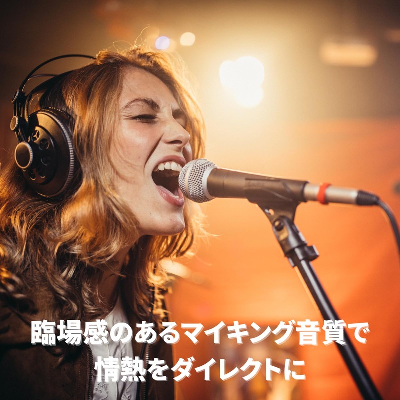 Fujirec Dynamic Microphone XLR Phone Cable Vocal Wired Hand Mic
