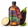 Liquid Power Eggplant Fertilizer - Professional Liquid Plant Food for