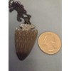 AttractionOil.com Dragon Eye Arrowhead Necklace