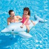 INTE DOLPHIN RIDE ON 79X30