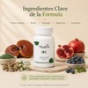 Muukya Irc Suplemento Natural Renal Chanca Piedra Reishi Tabletas