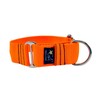Martingale Collar Nude Neon Orange 4cm Extra Large