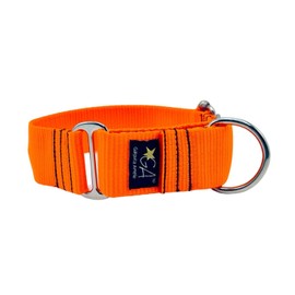 Martingale Collar Nude Neon Orange 4cm Extra Large
