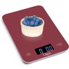 Ozeri Touch Professional Tempered Glass Digital Kitchen Scale, Red Engine