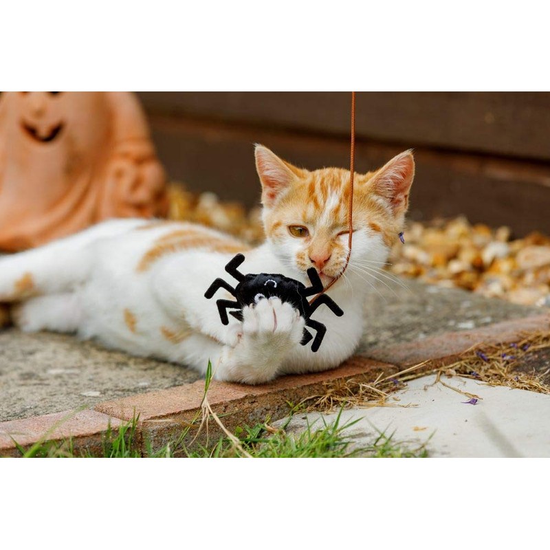 Petface Catnip Spider Teaser Interactive Cat Toy