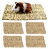 CVFRTT 4 Pieces Of Small Straw Mats, Woven Pet Straw