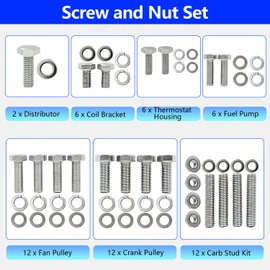 BIGLKNM Stainless Steel Small Block Engine Hex Bolt Kit Fit for Ford 260 289 302 Carbureted Engine 1985 & Older (228 Pcs Nuts&Bolts)