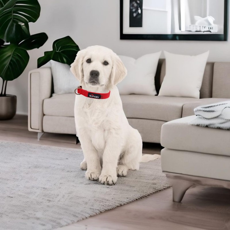 WDPAWS Dog Collar Polyester Cotton Webbing with Neoprene Inner Quick