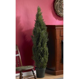 Nearly Natural 5291 5ft. Mini Cedar Pine Tree (Indoor/Outdoor),Green,5'