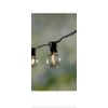 Litex Industries: 18.5-ft Solar Black Outdoor String Light with 15