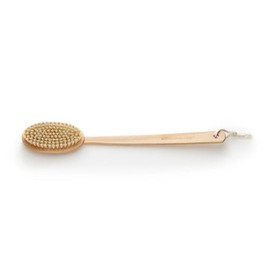 Earth Therapeutics Back Brush,FAR Reaching, Brush