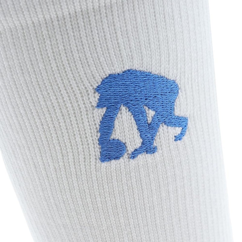 Egozaru EZAC-T2201-032 Basketball Line Socks