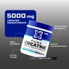 USN Creatine Monohydrate 500 g Size and Strength Powder
