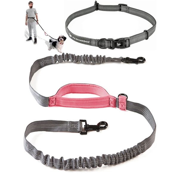Exquisite Adjustable Hands Free Dog Leash for Small Dogs |