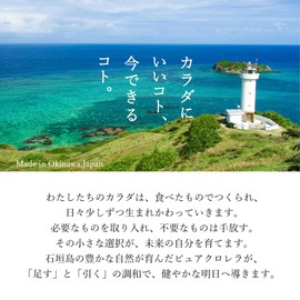 Yaesama Chlorella 900 Capsules, Produced in Ishigaki Shima Pure Chlorella No Additives, 3 Months Supply