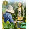 Color Farm Domestically Produced Rapidame Tea Bag 0.1 oz (3