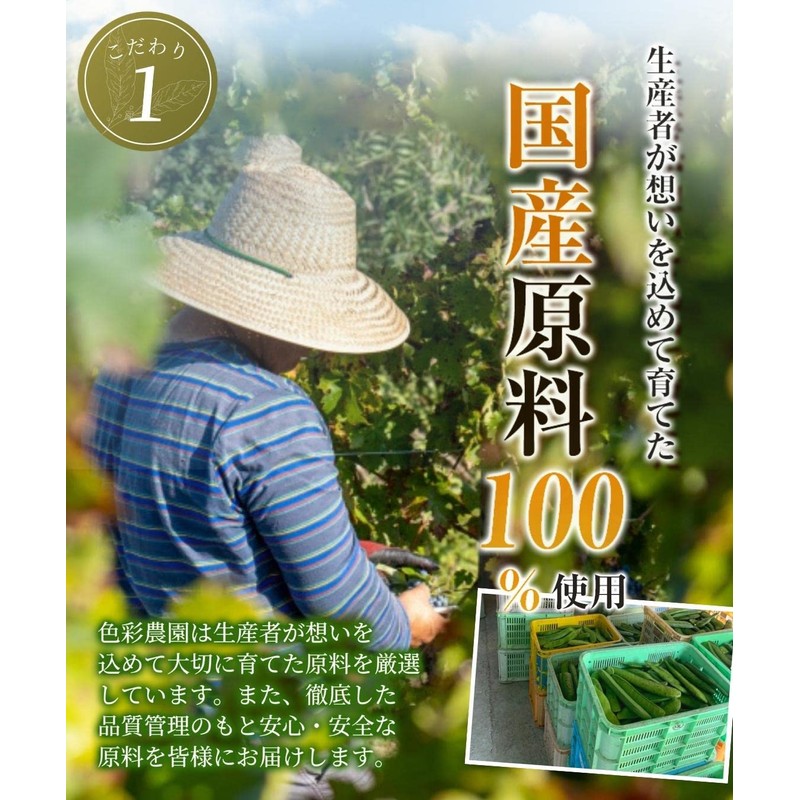 Color Farm Domestically Produced Rapidame Tea Bag 0.1 oz (3