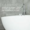 Shampoo Hotelero 2 en 1 40 ml Elements Caja 110
