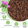 Cypress Orchid Bark Potting Mix – 6–9mm Cypress Mulch for