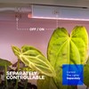 Barrina Grow Lights for Indoor Plants, Full Spectrum Sunlight, 2ft