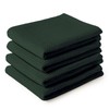 Encasa XO Kitchen Dish Towels Set | Dark Green |