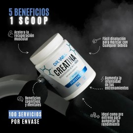 Creatina Monohidratada Dr Will de 500 g para Fuerza y Rendimiento                                                                                     