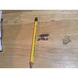 PHILLIPS NEW PHILLIPS FLAT HEAD MACHINE SCREW A2 SS M4 X .7 X 8M QTY 10