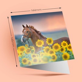 1 x Greeting Card Red Chestnut Stallion Horse Sunflowers - Blank Birthday Celebration Anniversary #15674