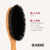 G.B.KENT All Care Clothes Brush High-Grade Pig Hair British Royal
