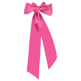 Women Satin Sash Belt Dress Belts Sash for Women Bride Bridal Sash Belt for Wedding Pageant Birthday Sash for Women Hot Pink Sash Waist Belt for Dress Large Wide Bling Belts Sash for Women Dress