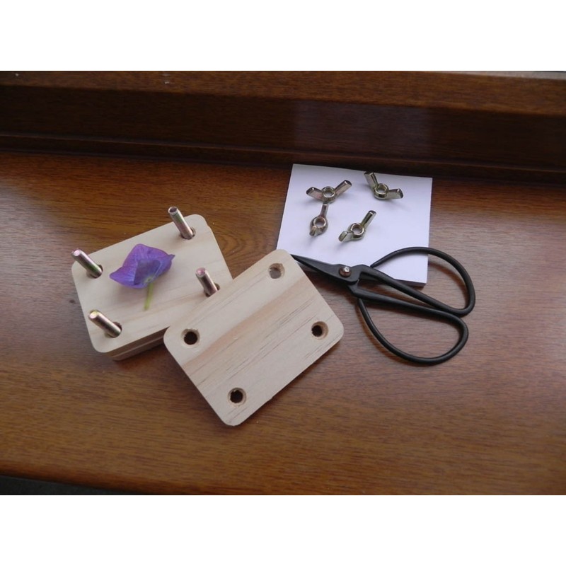 Apples to Pears Flower Pressing Kit in a Tin