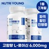 류신 타블렛 유청 단백질 프리미엄 정 1000mg 60정 2개월분 노인