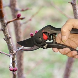 Centurion 441 Professional Bypass Pruning Shears Small and Large Grip Sizes