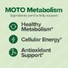 3pc Elifeaf Moto Cápsulas Estimulantes Del Metabolismo Peso