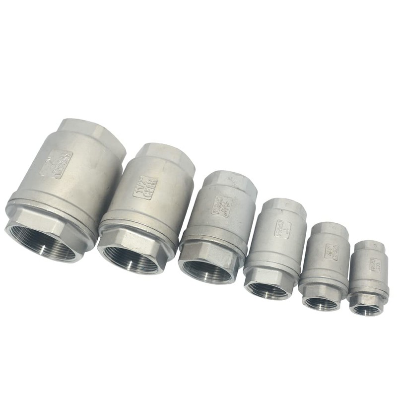 Dsmpipeft NPT Female WOG1000 Check Valve,Vertical Check Valve,NPT Spring Loaded