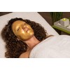 Golden Face Set of 10 Collagen Face Mask with Q10