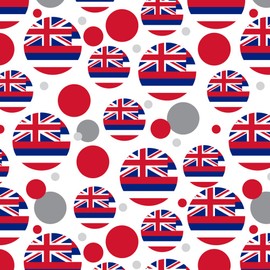 GRAPHICS & MORE Hawaii State Flag Premium Gift Wrap Wrapping Paper Roll