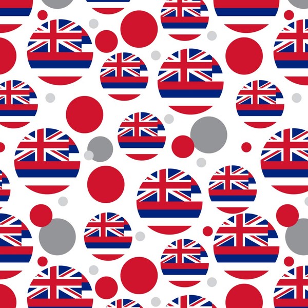 GRAPHICS & MORE Hawaii State Flag Premium Gift Wrap Wrapping