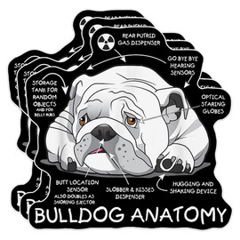 (Pack of 3) Anatomy of A Bulldog Dog Lover Waterproof Sticker 5 Inches