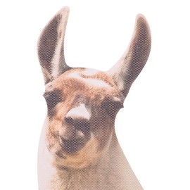 Thumbs Up Ride with Lama - Window Sticker Lama Car Window Sticker