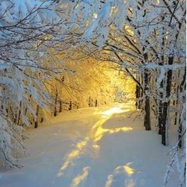 Pack of 10 Charity Christmas Cards (PH-CHPT0048) - Morning Sunrise - Photographic Cards from Paper House