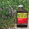 Hi-Yield (33430) Atrazine Weed Killer (32 oz)