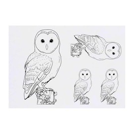 Azeeda 4 x 'Sitzende Schleiereule' Temporäre Tattoos - Wasserfest, Hautfreundlich & Ungiftig · Transfers in Verschiedenen Größen (TO00075704)